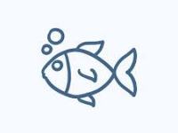 The Texarkana Fish Rain